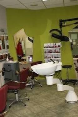 Galerie-Thumbnail