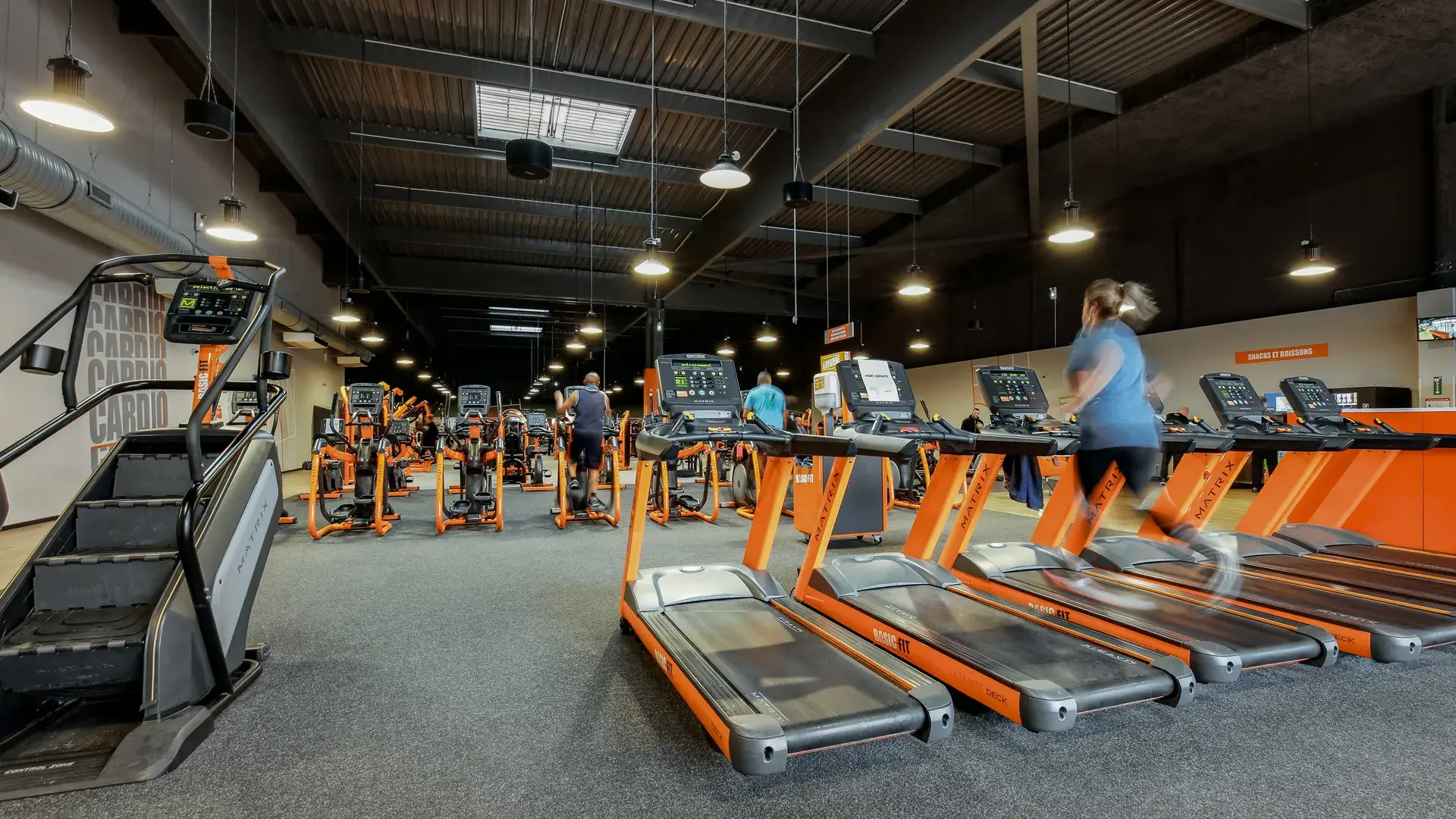 Miniature de la galerie