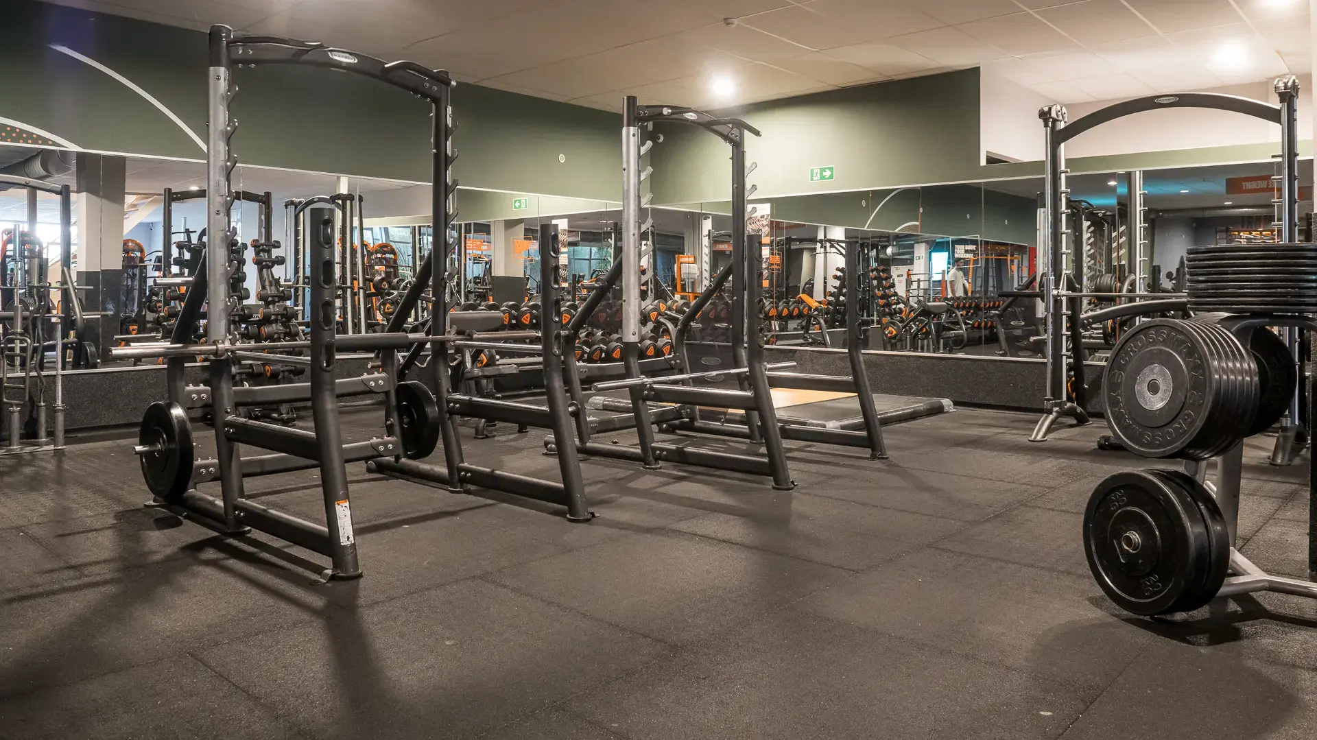 Miniature de la galerie