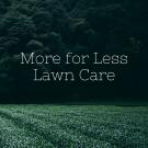 More for Less Lawn Service Logo