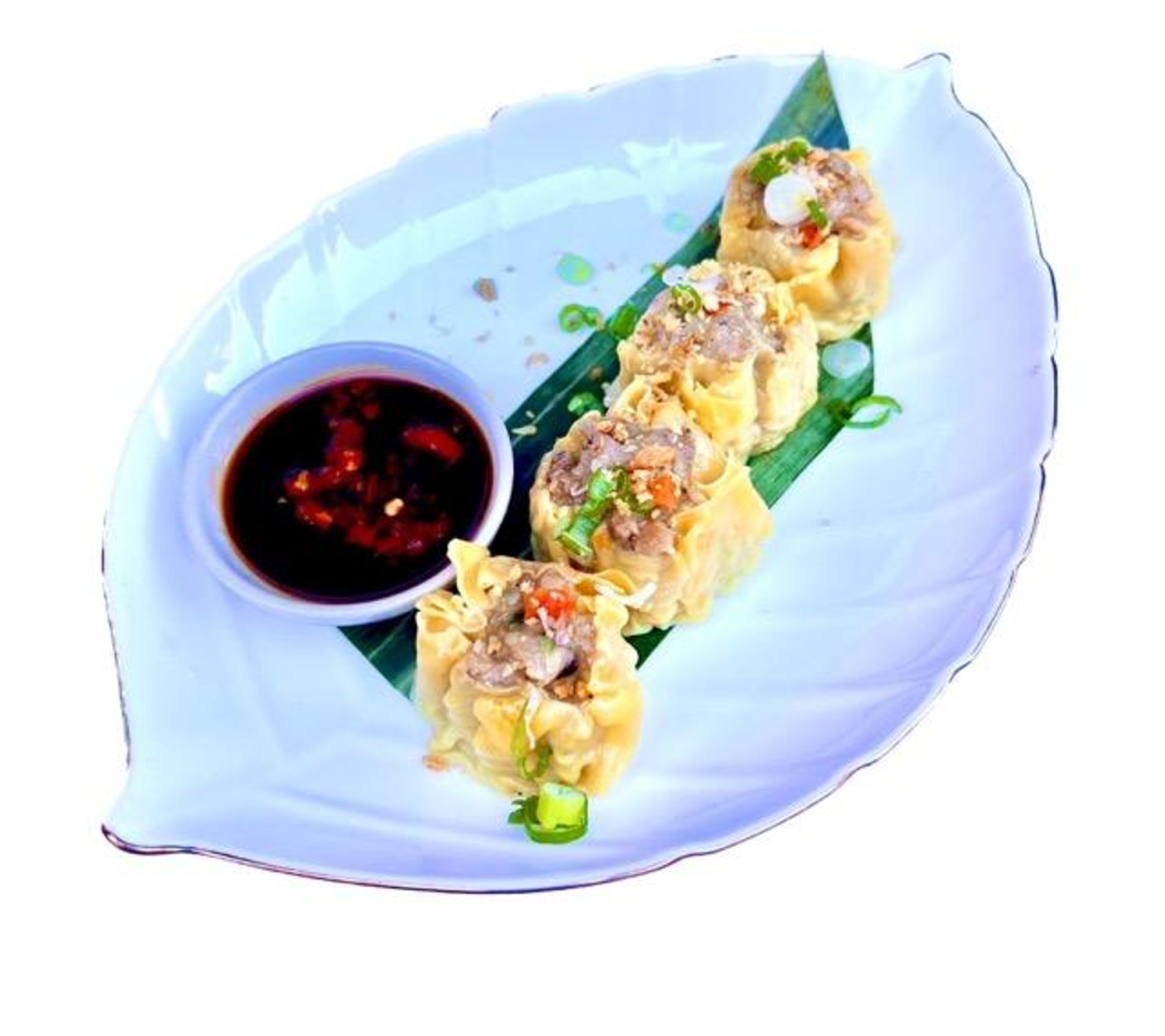 Thai Dumpling (4)