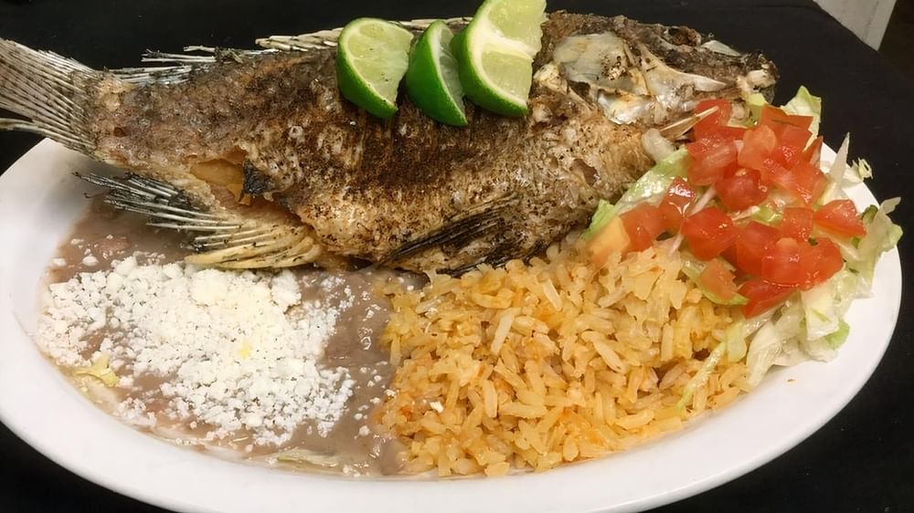 Mojarra | Tilapia