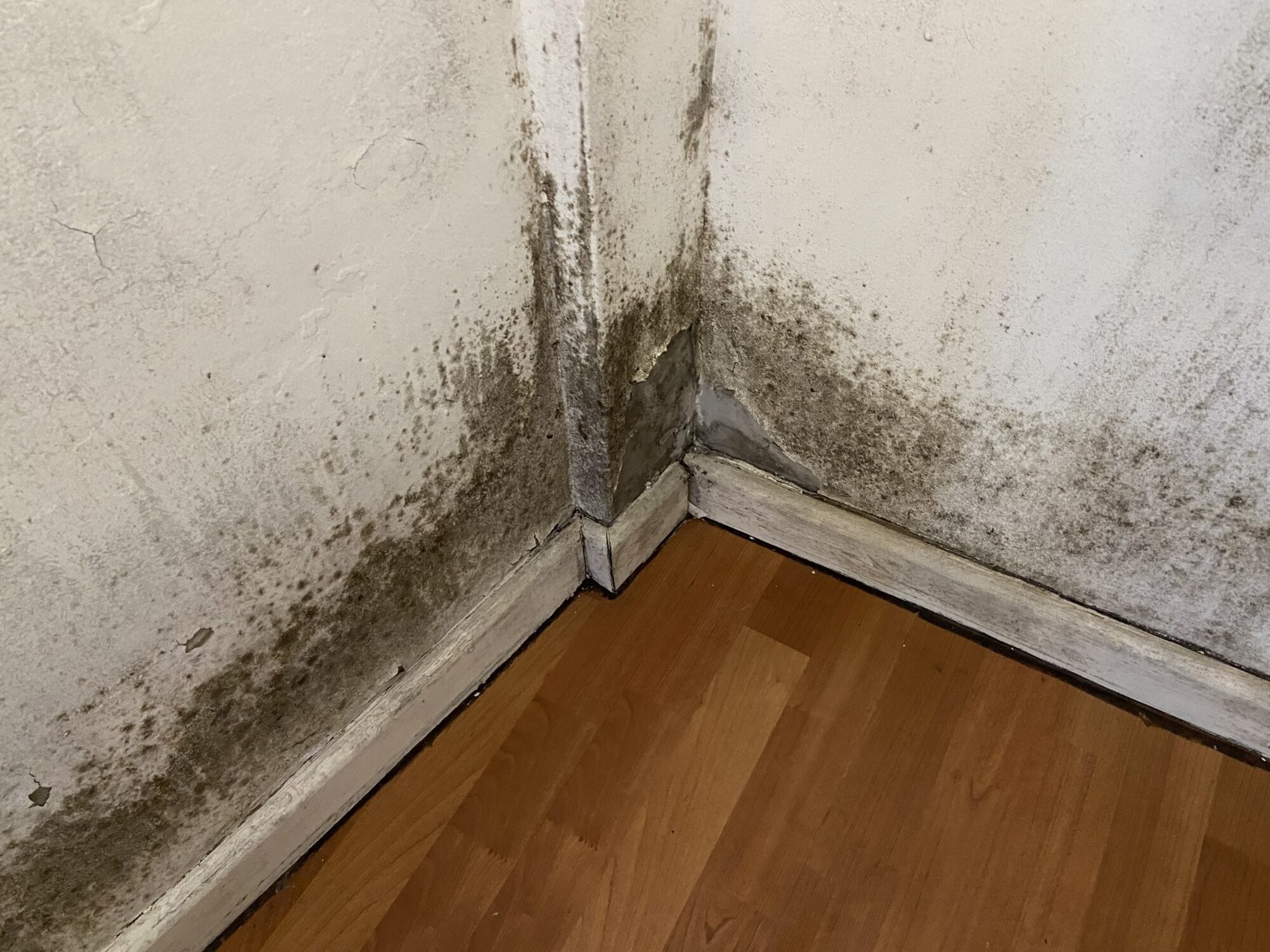 Northeast Ohio Radon & Mold Solutions Image