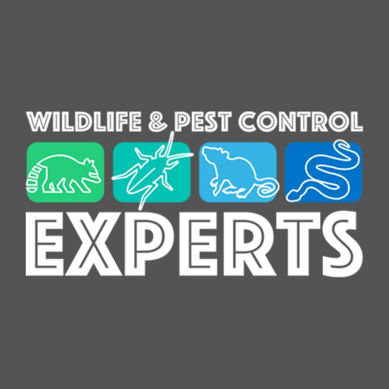 Wildlife and Pest Control Experts