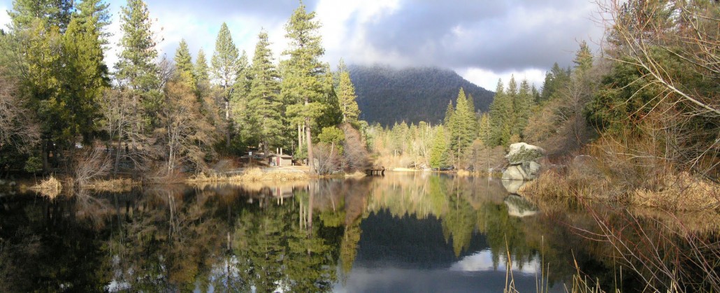 Pinewoods Resort, CA Logo