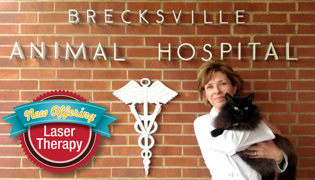Images Brecksville Animal Hospital