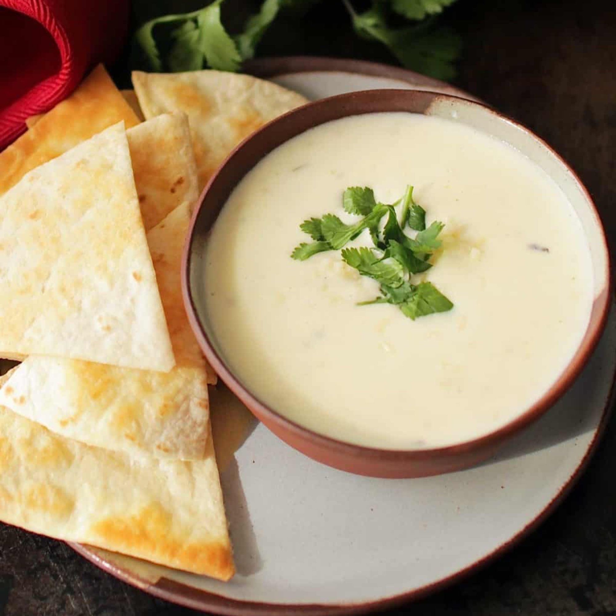 Large Queso
