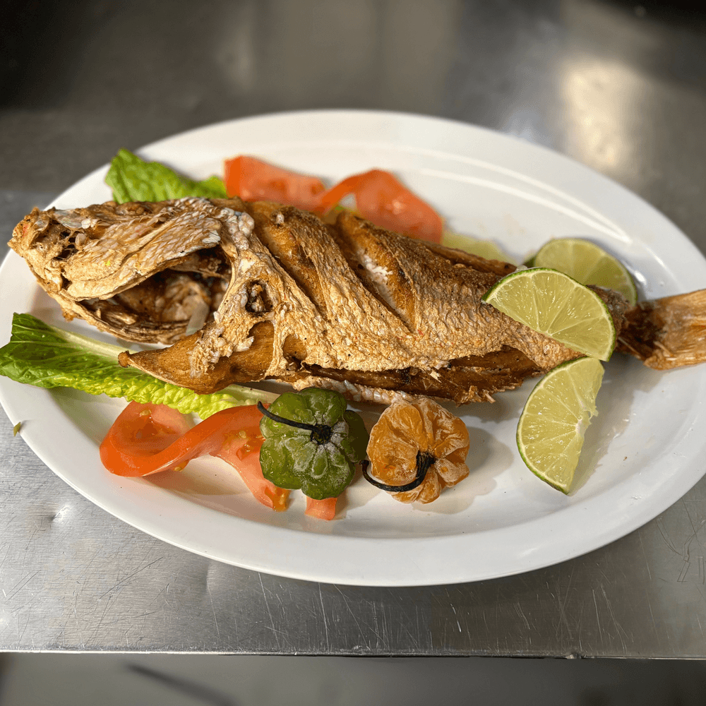Red Snapper