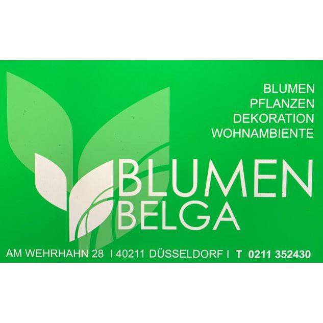 Logo von Said Belga