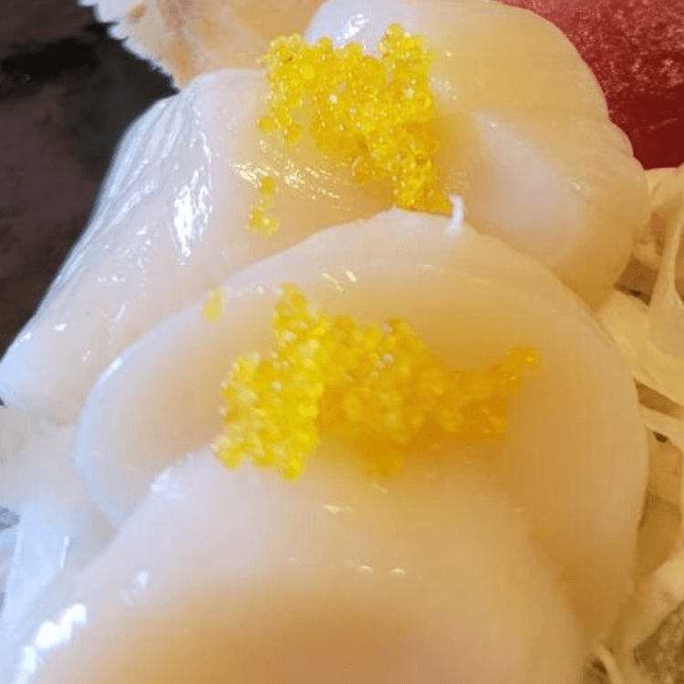 Diver Scallop - Hotate Sashimi