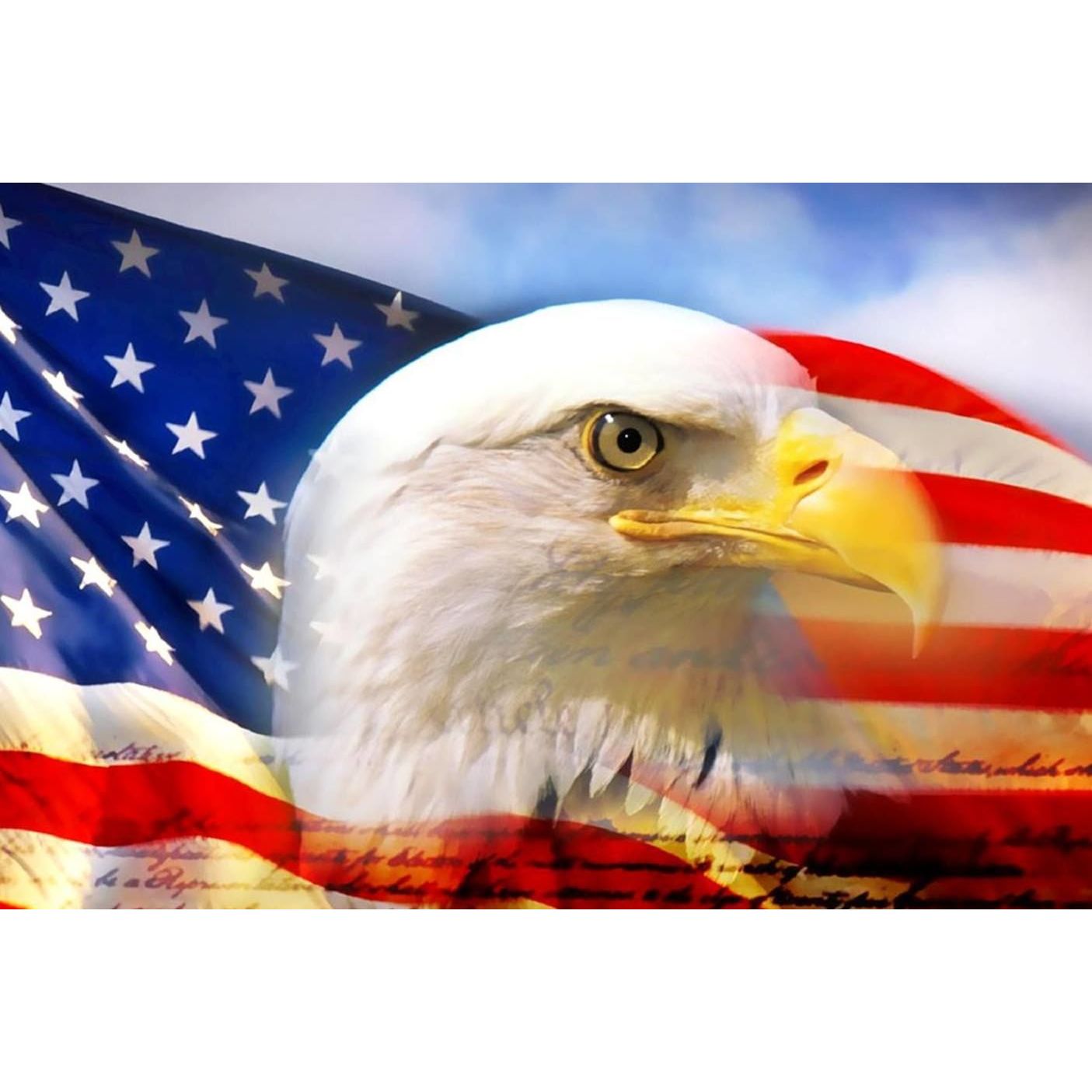 Yankee Doodle Flags, Kites &amp; Fun Logo