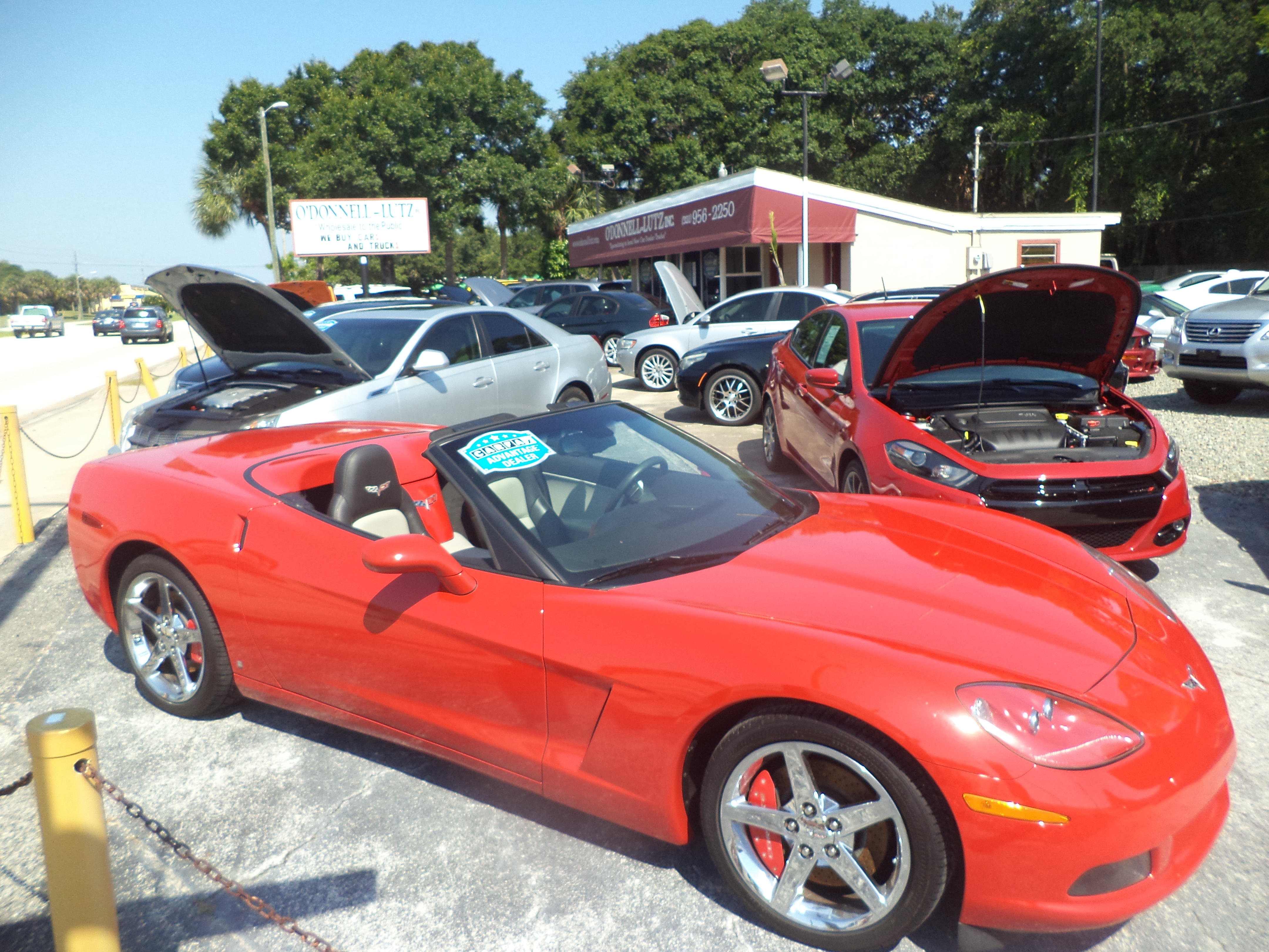 O'Donnell-Lutz Used Cars & Trucks of Melbourne, Palm Bay, and Central Florida Photo