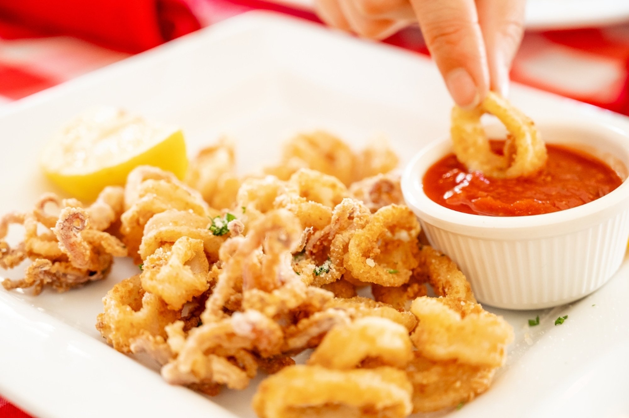 Fried Calamari