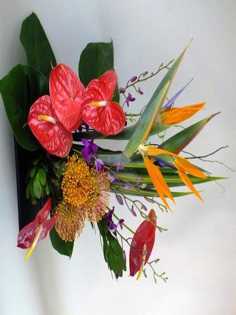 Artificial Flowers Trees Retail In Plano Tx By Superpages