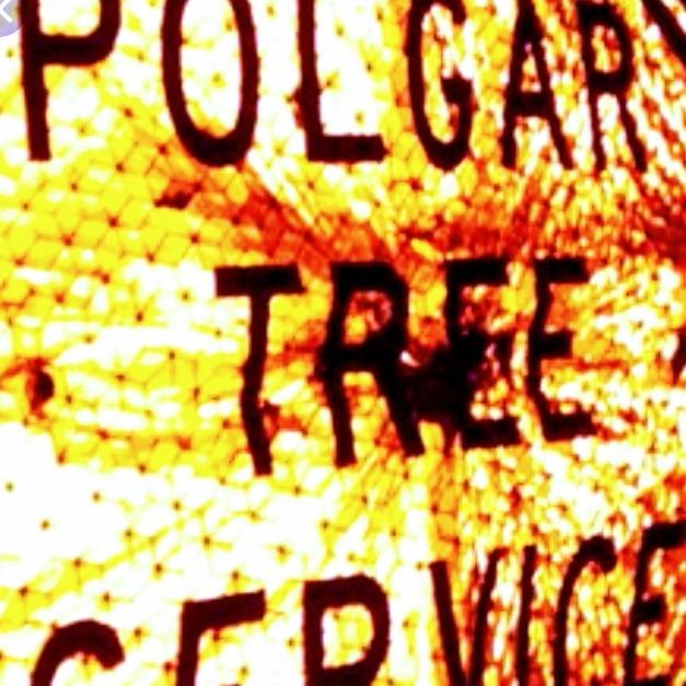 Polgar Tree Service & Removal LLC Photo