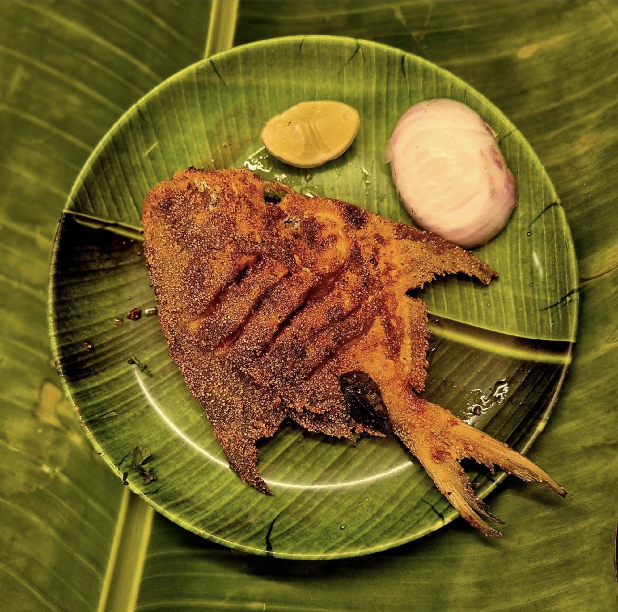 Tava Pomfret
