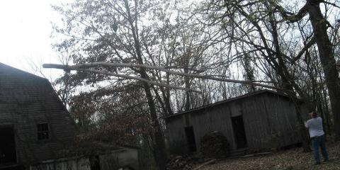 Lamb Tree Service Image