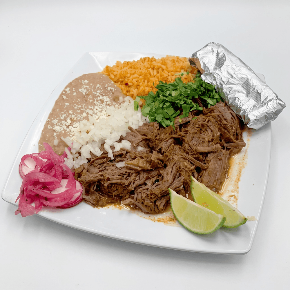 Birria Plate