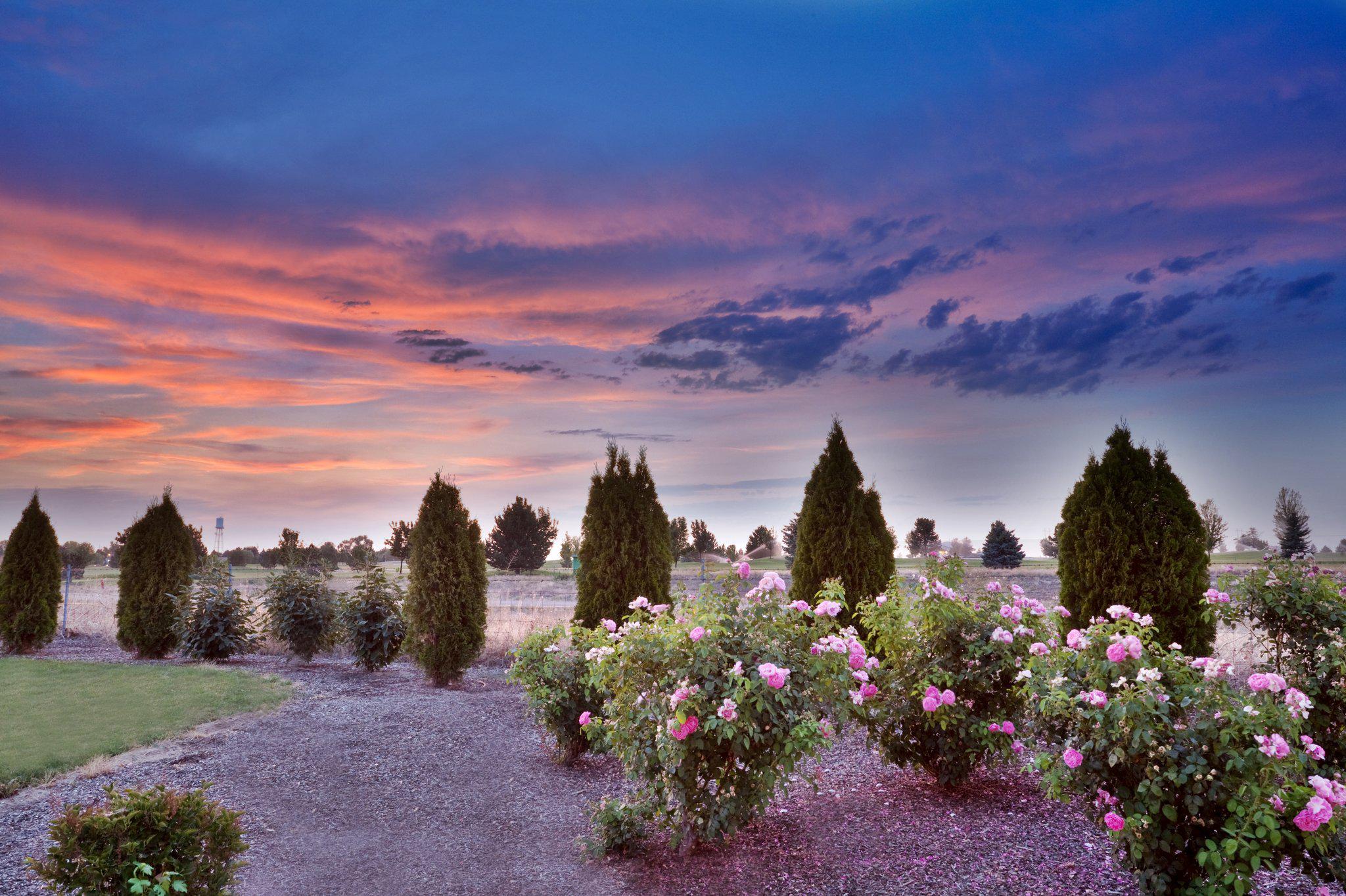 Holiday Inn Express & Suites Nampa - Idaho Center Photo