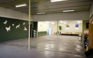 Gallery thumbnail