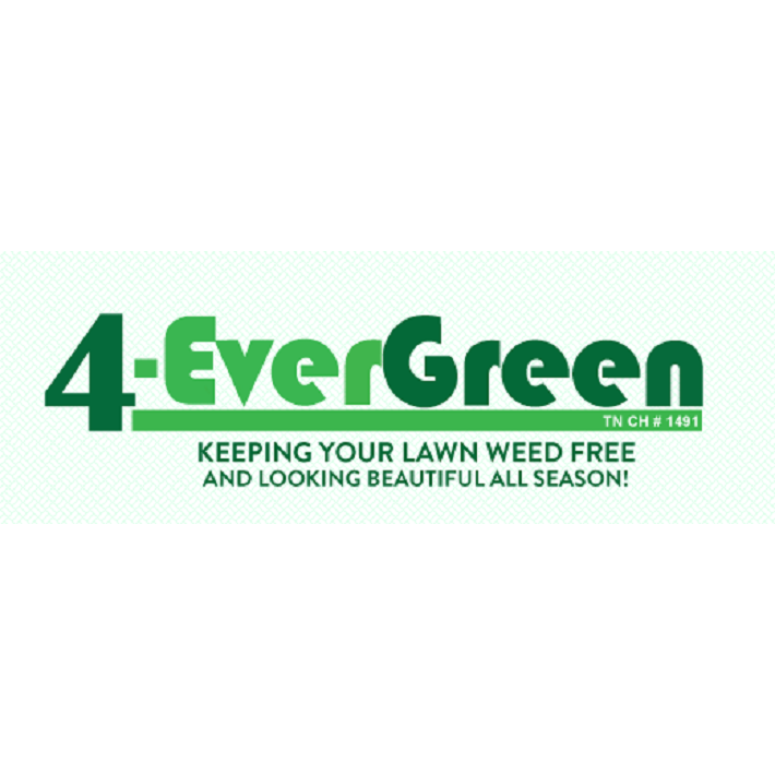 4-Evergreen Lawn Service