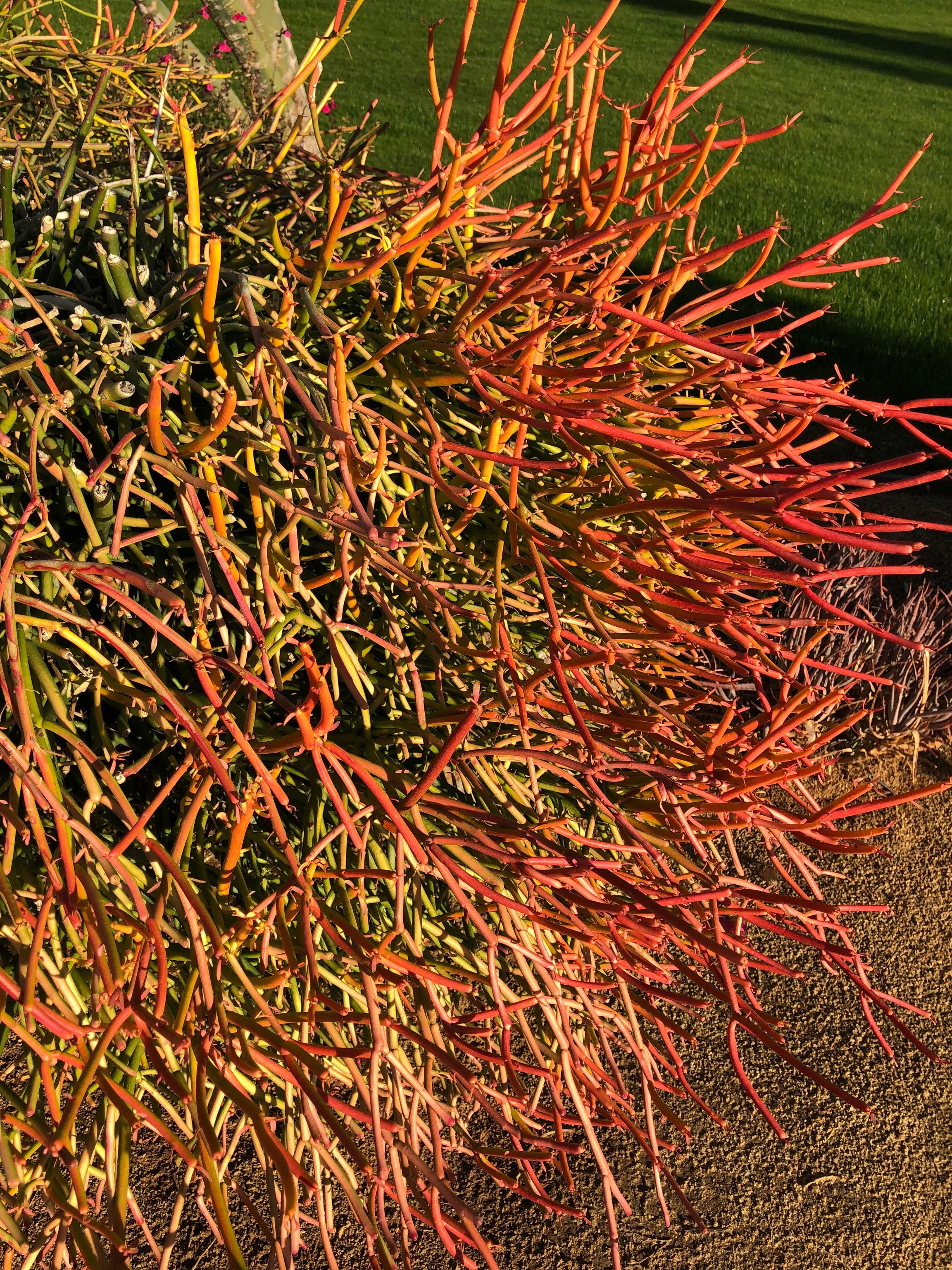 Moller’s Garden Center Image