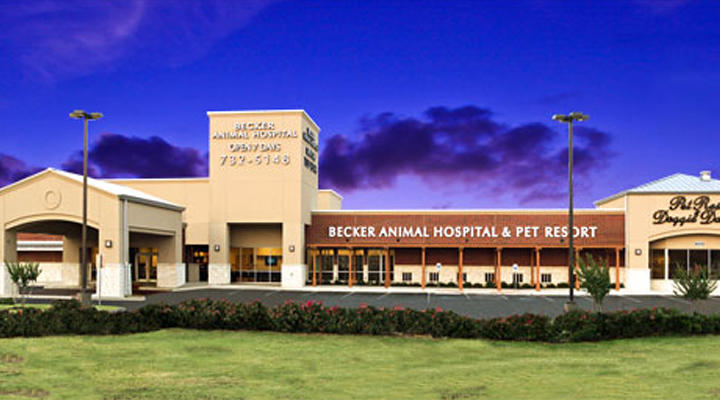 VCA Becker Animal Hospital and Pet Resort Photo