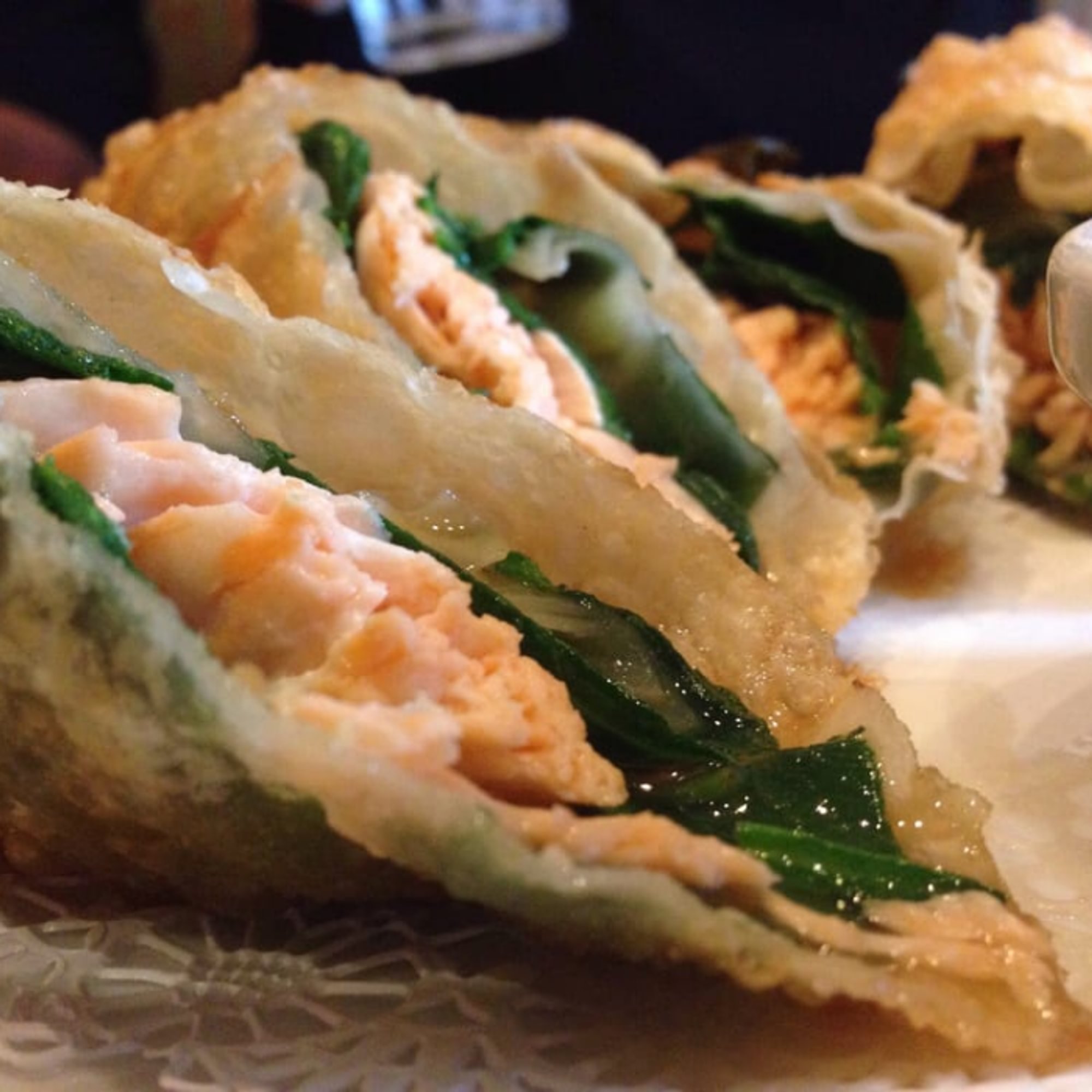 Salmon Crisp