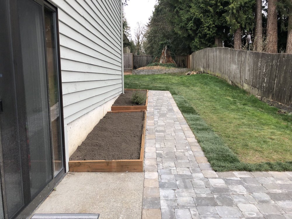 Solid Ground Landscape Image