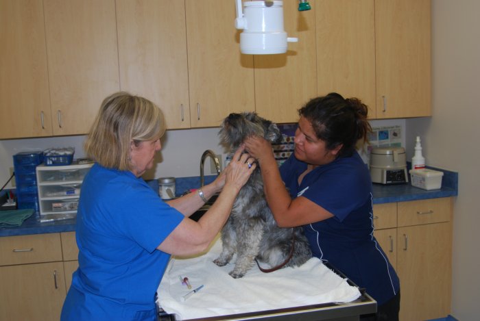 VCA Telge Road Animal Hospital Photo