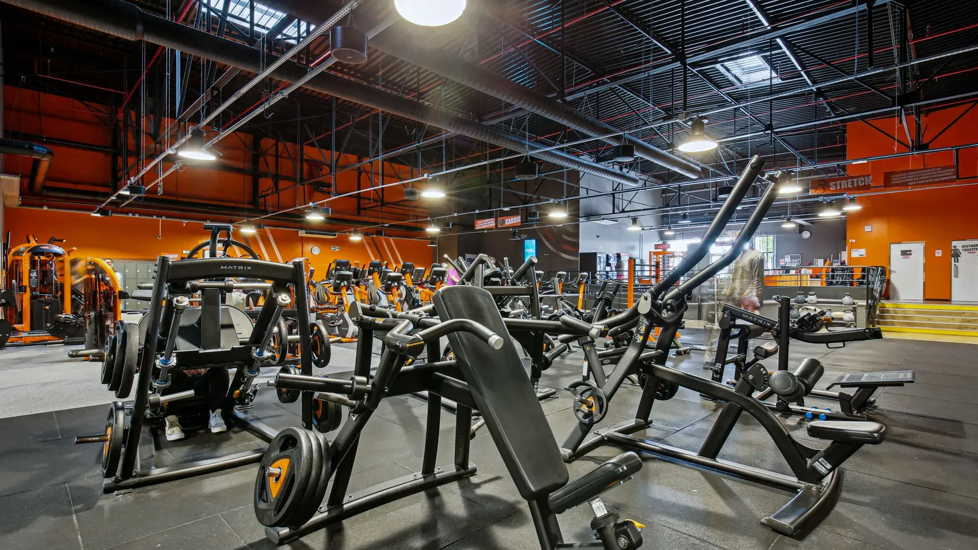 Miniature de la galerie