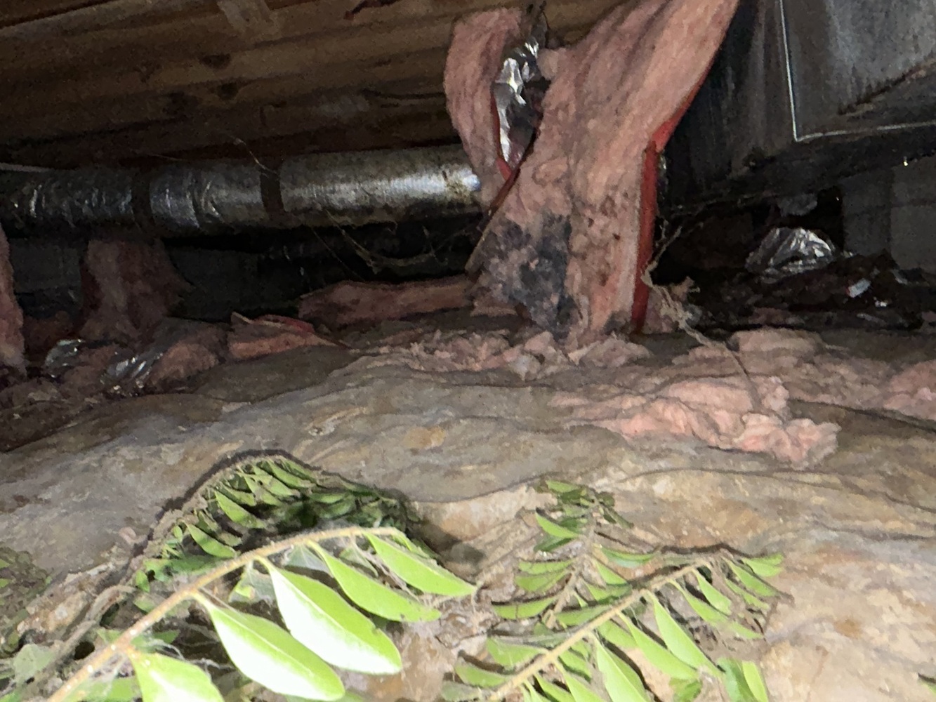 Ox Foundation Solutions Image