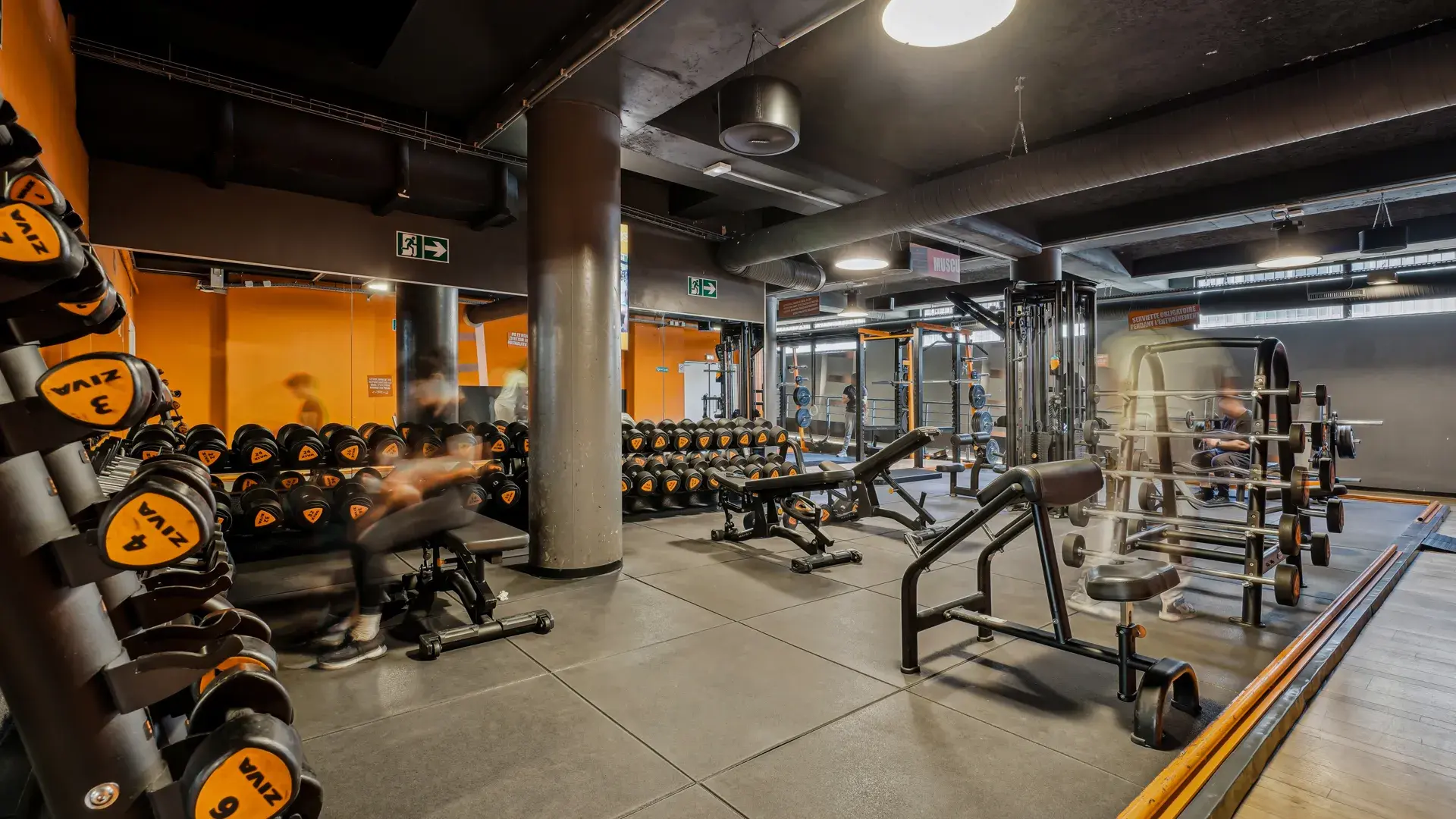 Miniature de la galerie