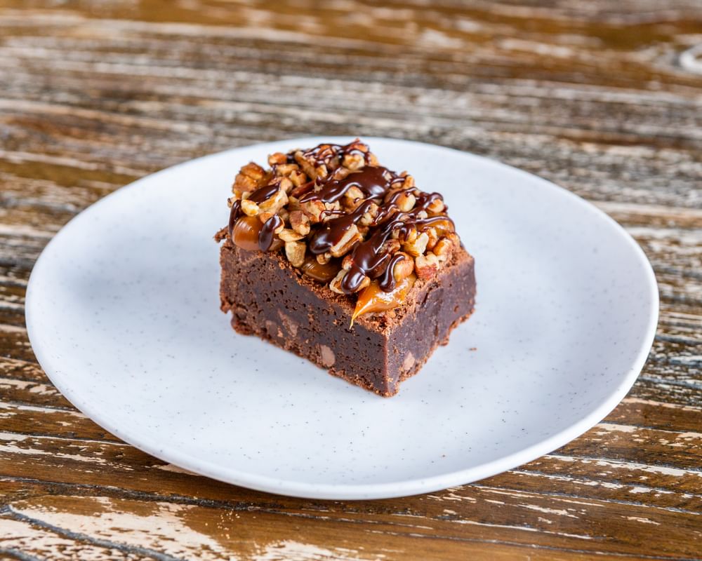Turtle Brownie