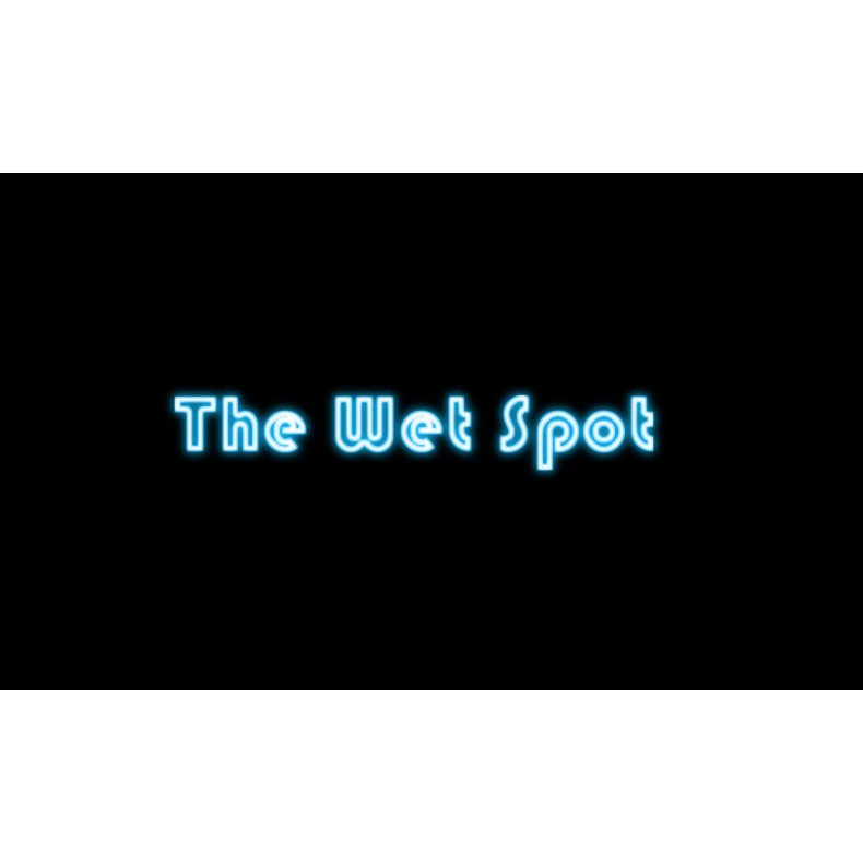 The Wet Spot Logo