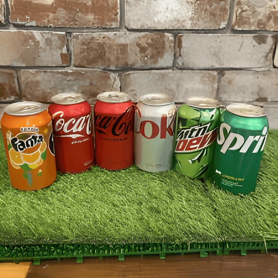Canned Drink