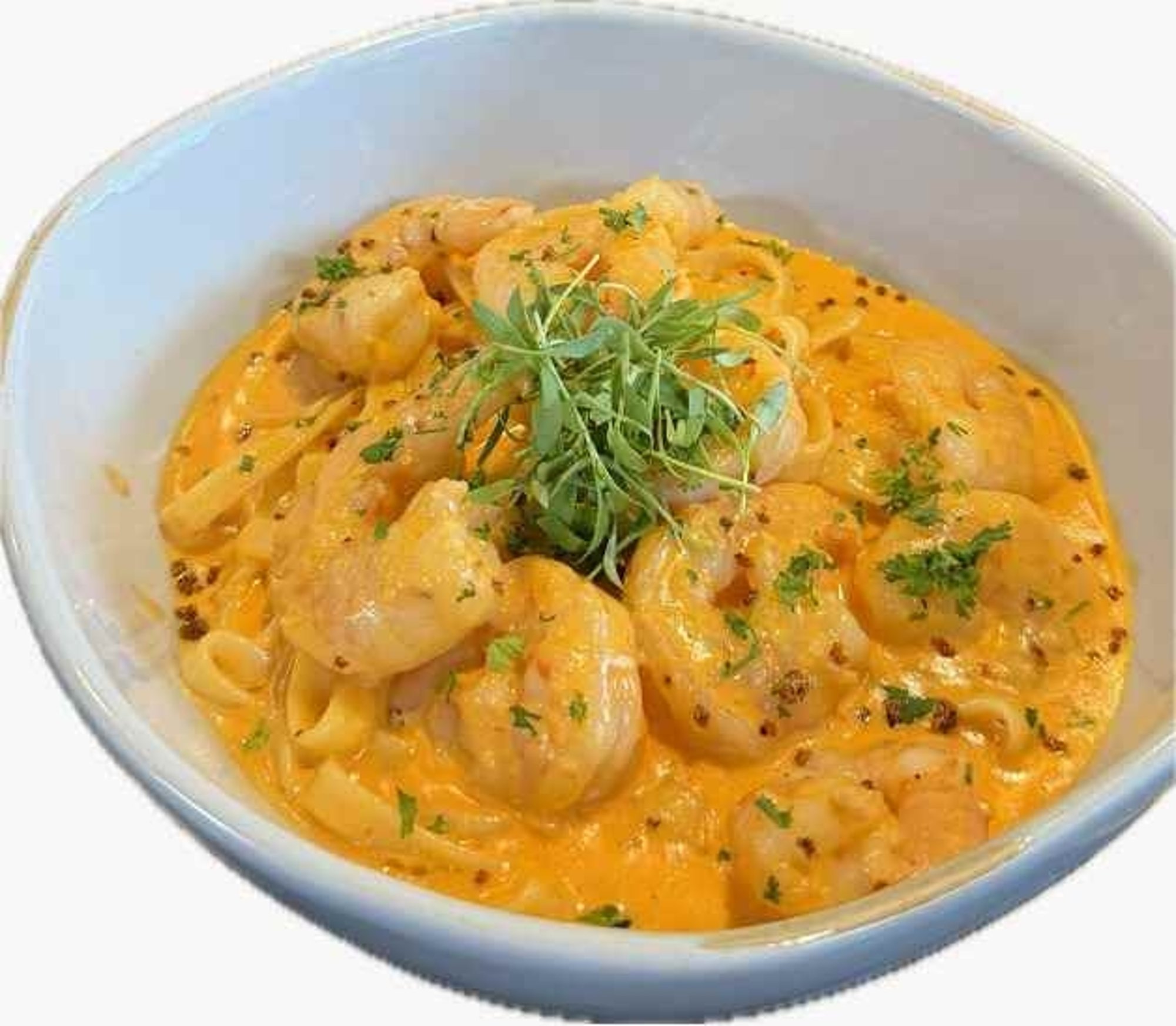 Pink Shrimp Fettuccine New LS