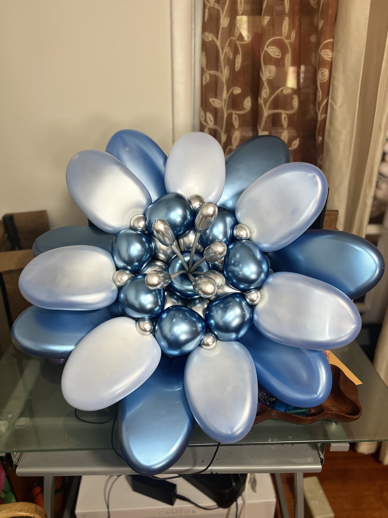 BaloOnies events Image