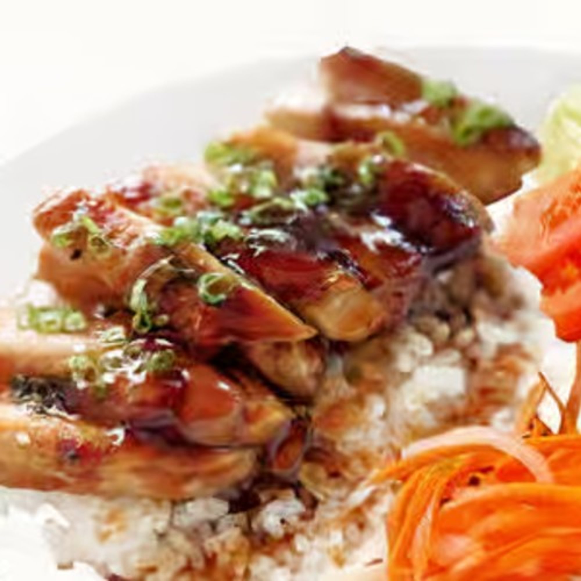 M15 Teriyaki Chicken with Rice