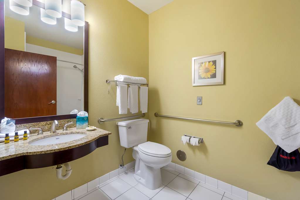 Best Western Plus Plaza by the Green Image