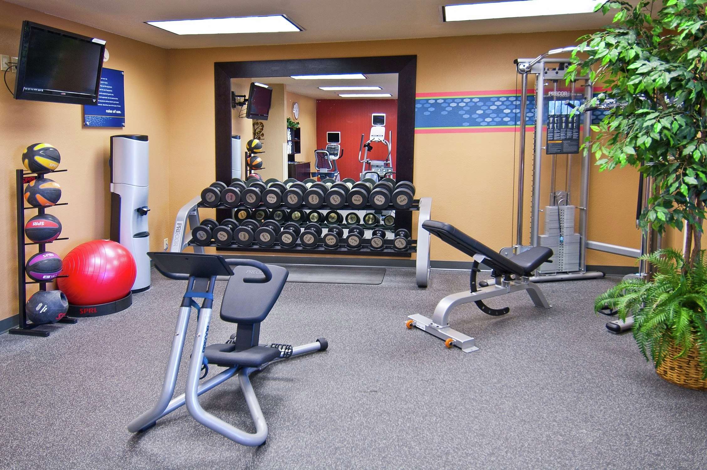 Health club  fitness center  gym