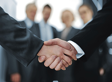 Litigation Lawyer