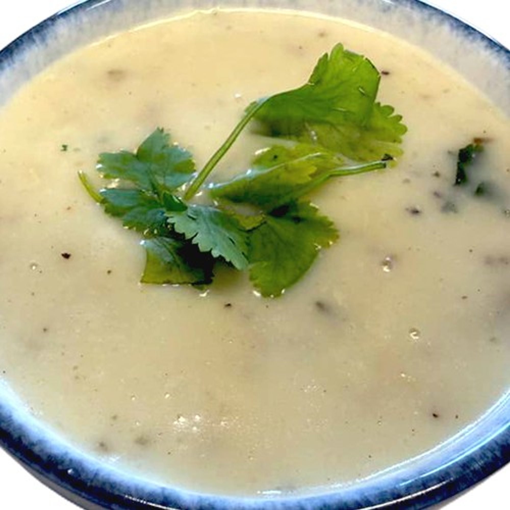 Chicken Soup