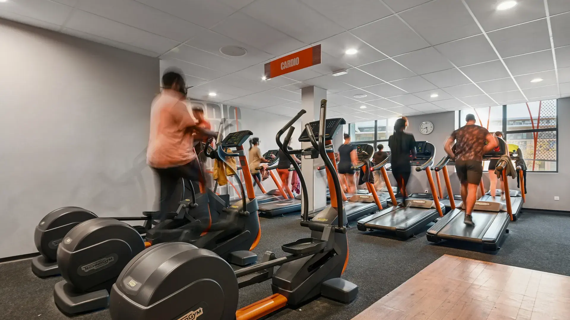 Miniature de la galerie