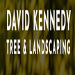 David Kennedy Tree & Landscaping Logo