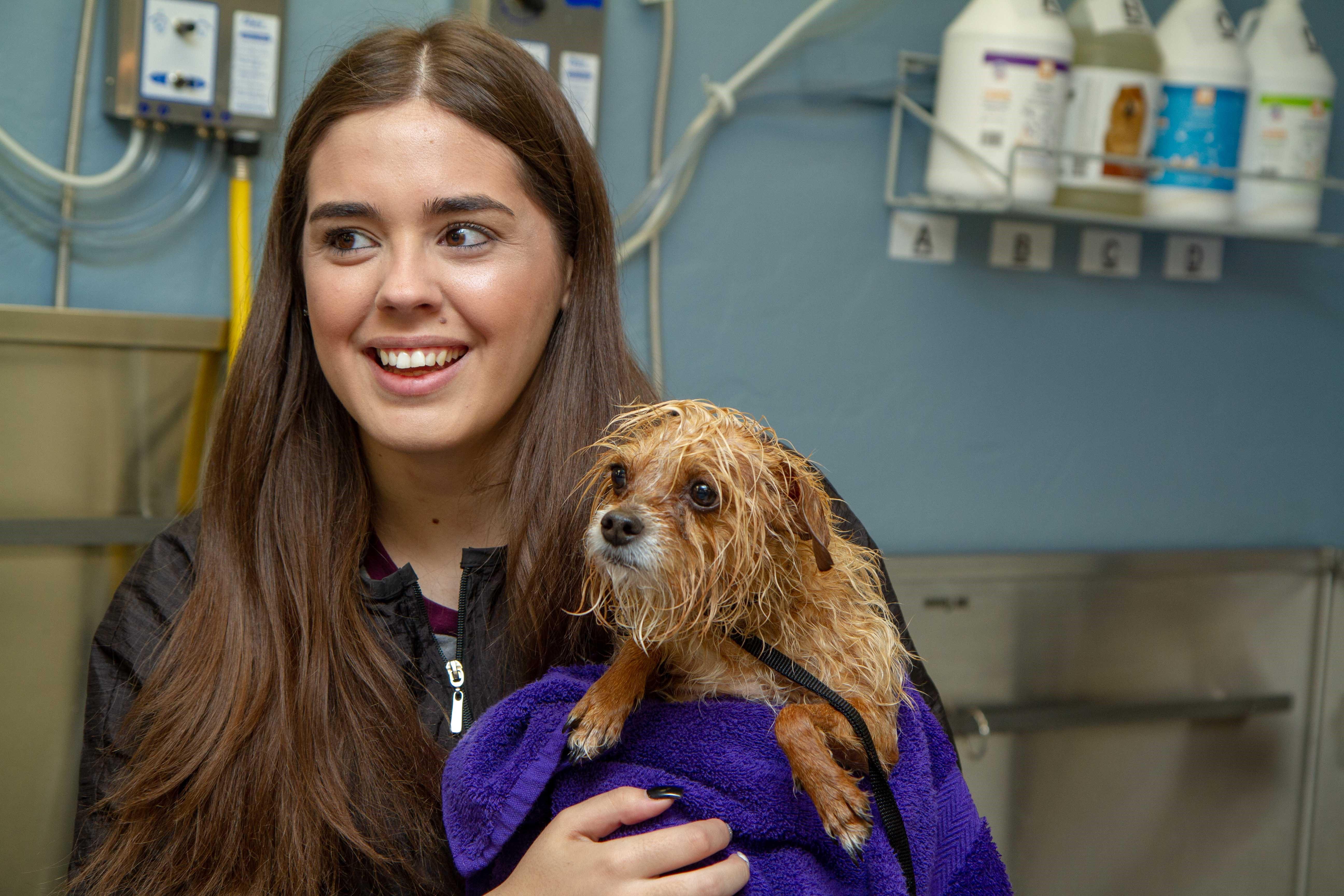 Ruff N' Cuts Grooming Salon and Self Serve Dog Wash, 2616 N Steves Blvd, Flagstaff, AZ MapQuest