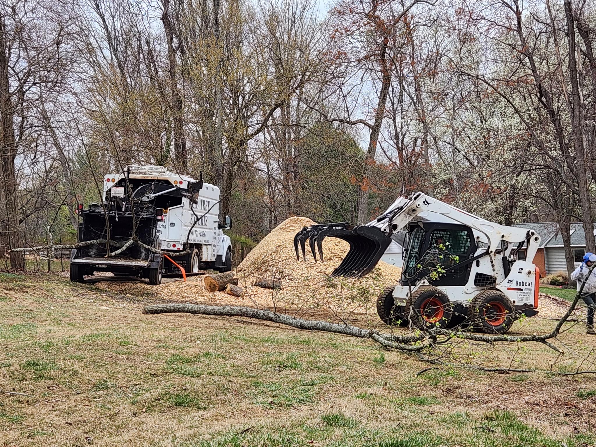 Keil Tree Experts Inc Image