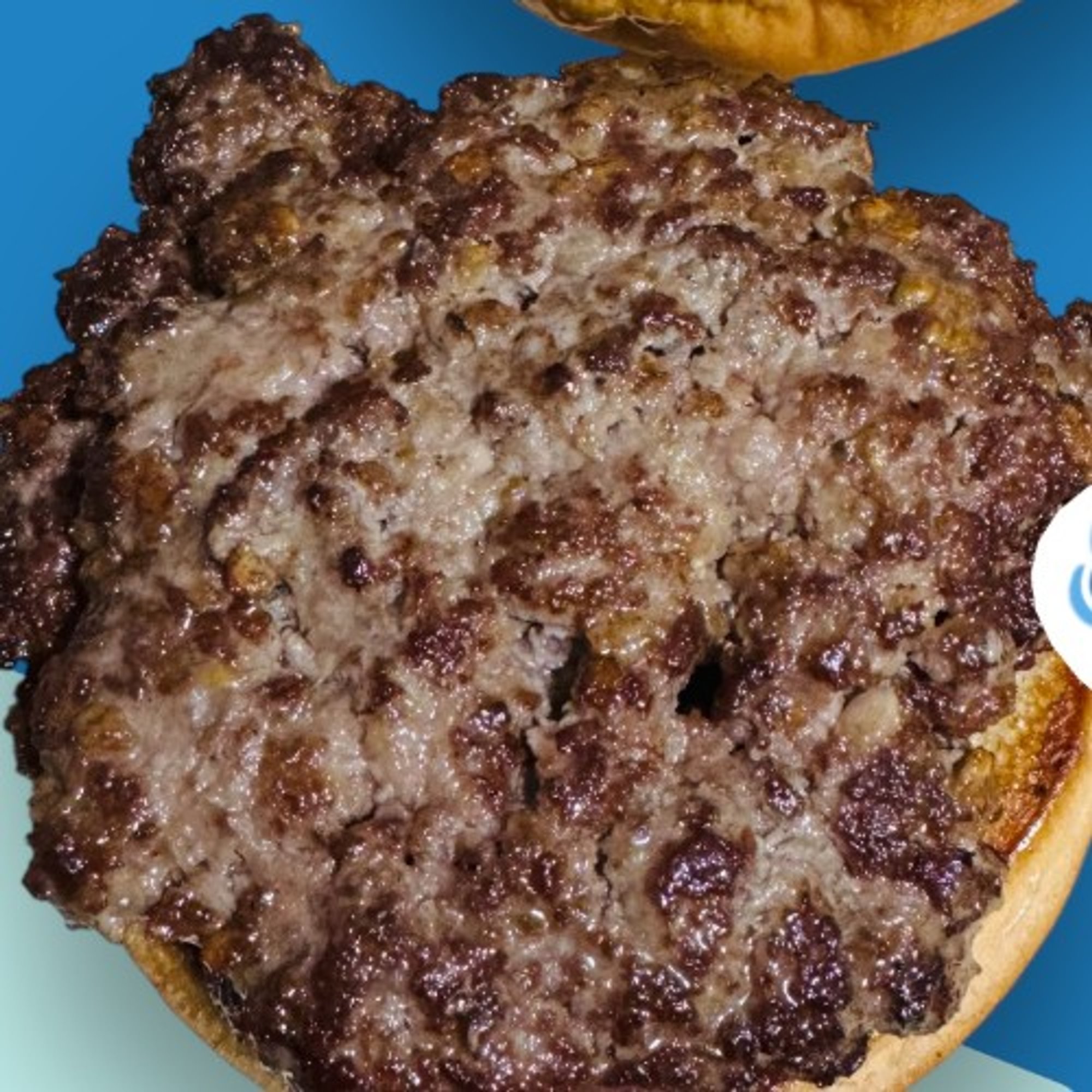 Hamburger Patty