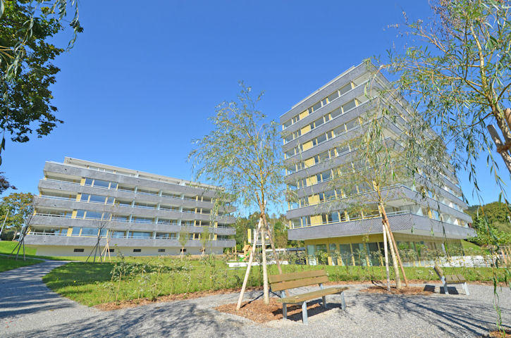 Galerie-Thumbnail