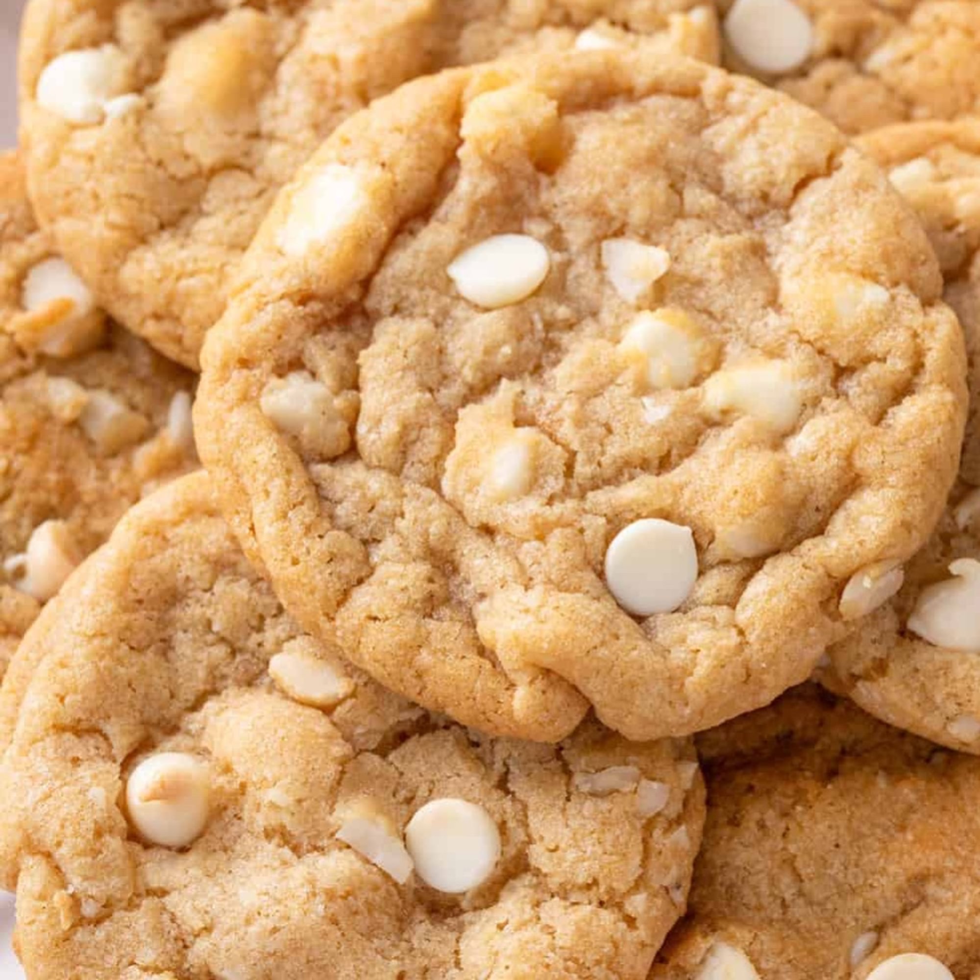 White Chocolate Macadamia Cookie